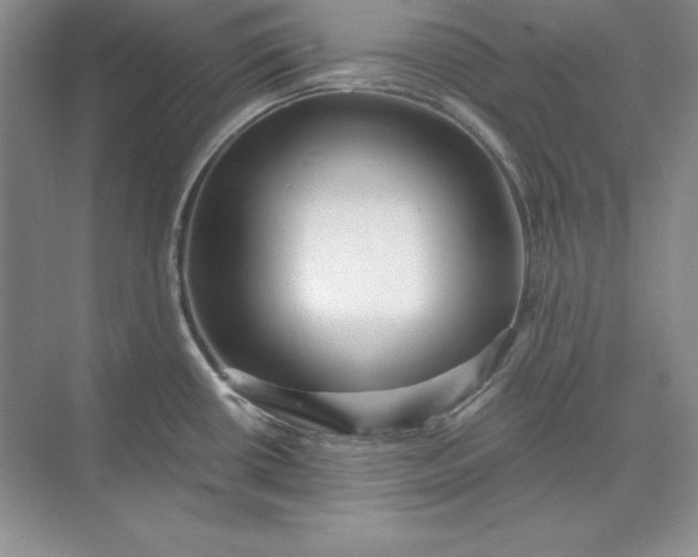 X0000071331434200607071621