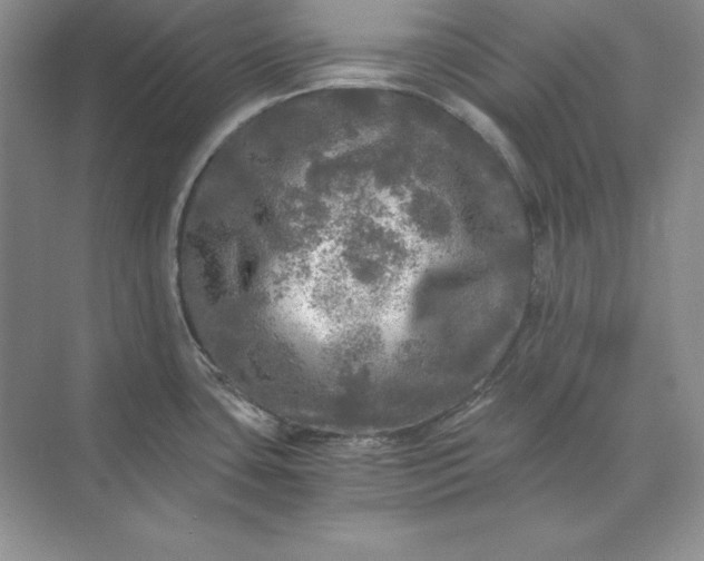 X0000071331435200607071621