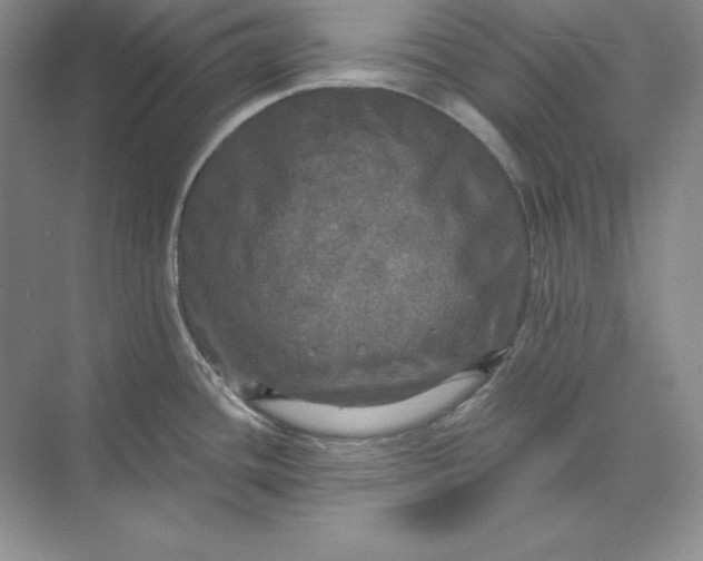 X0000071331436200607071621