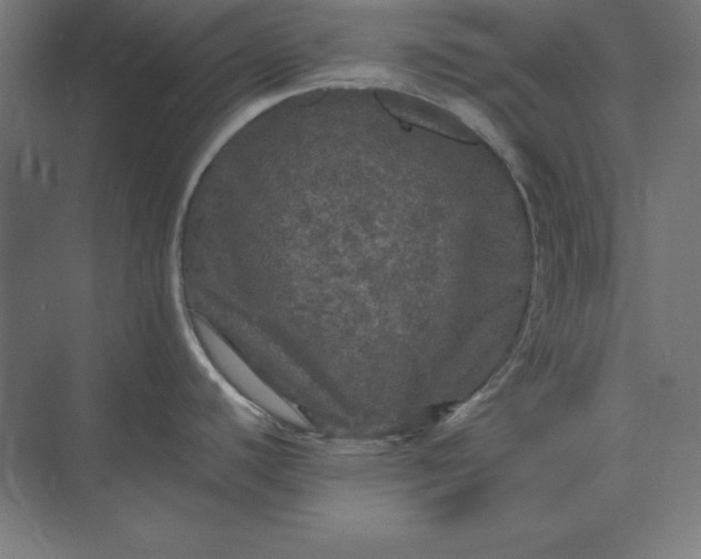 X0000071331440200607071621