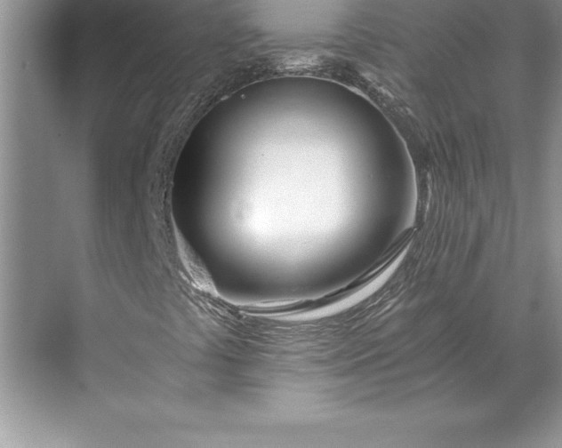 X0000071331441200607071620