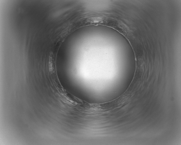 X0000071331442200607071620