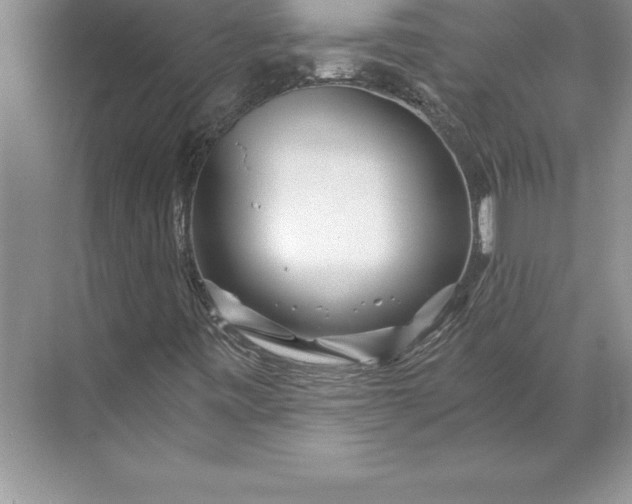 X0000071331443200607071620