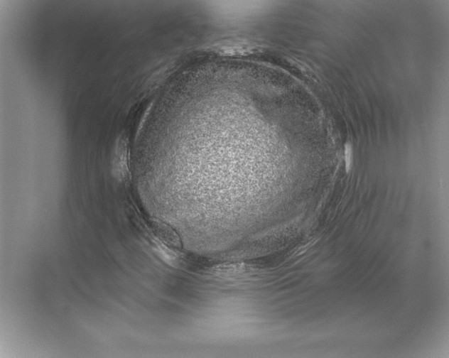 X0000071331444200607071620