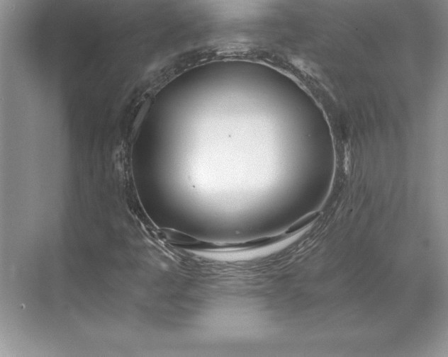 X0000071331445200607071620