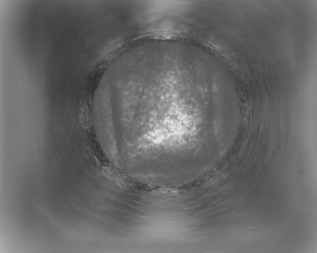 X0000071331446200607071620