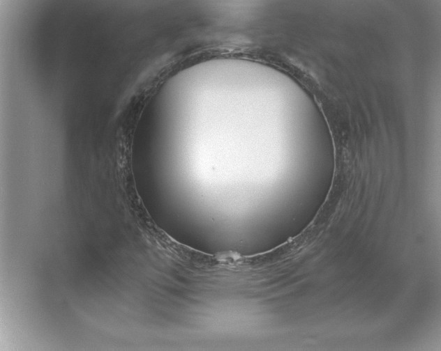 X0000071331447200607071620