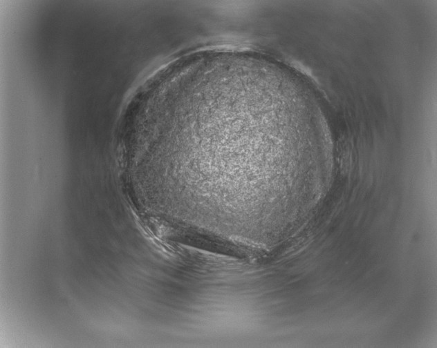 X0000071331448200607071620