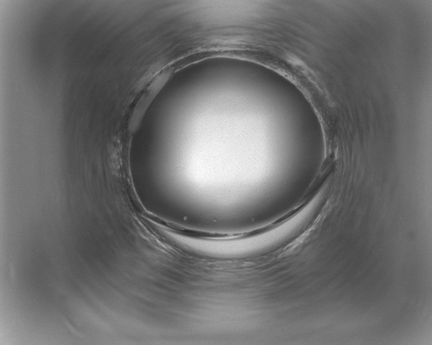 X0000071331449200607071620