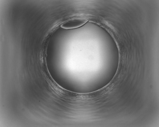 X0000071331451200607071620