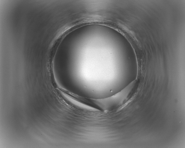 X0000071331453200607071620