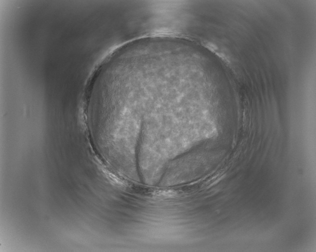 X0000071331454200607071620