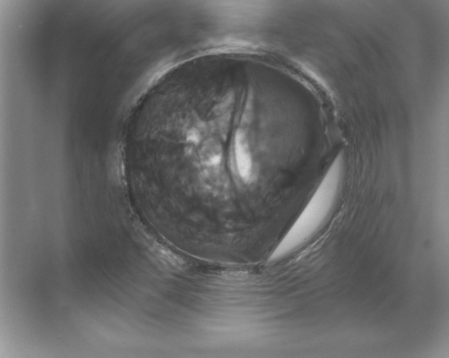 X0000071331455200607071620