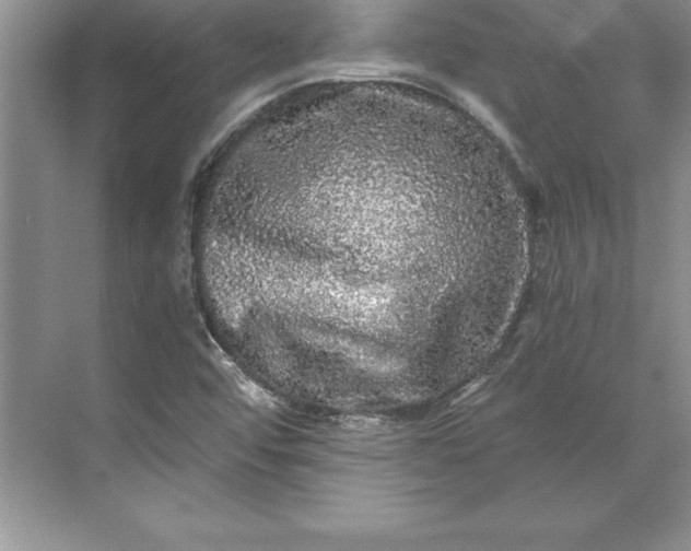 X0000071331456200607071620