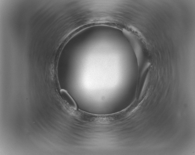 X0000071331457200607071620