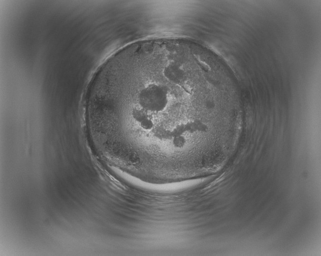 X0000071331459200607071620