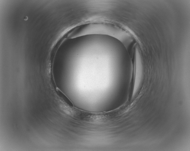 X0000071331461200607071620