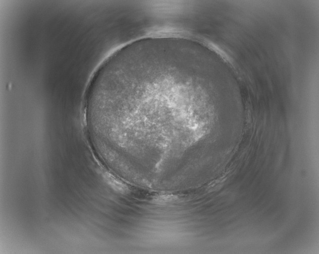 X0000071331462200607071620