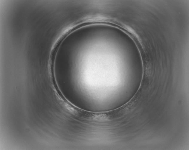 X0000071331464200607071620