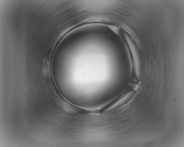 X0000071331465200607071619