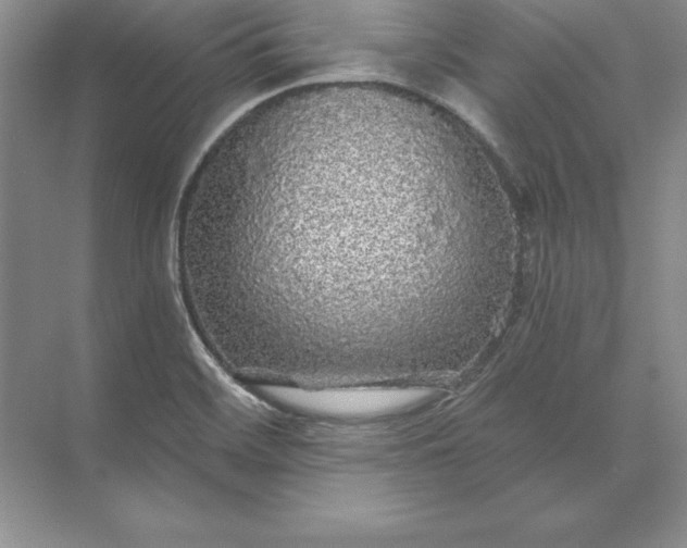 X0000071331468200607071619