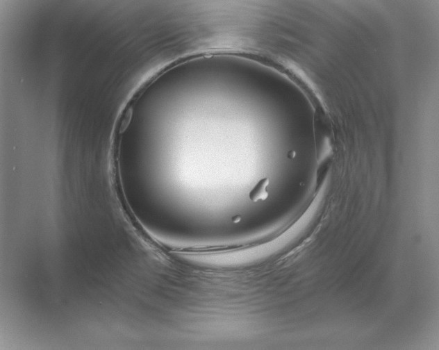 X0000071331469200607071619