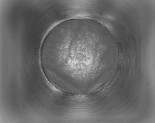 X0000071331470200607071619