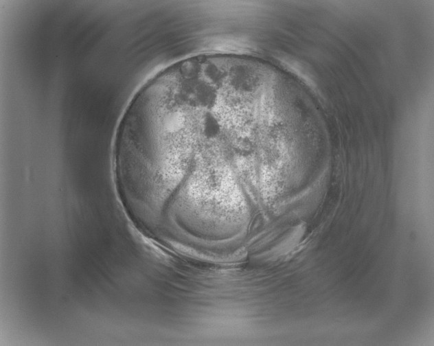 X0000071331471200607071619