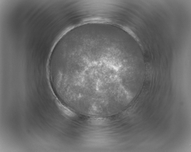 X0000071331474200607071619