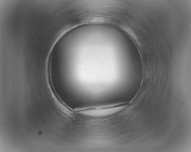 X0000071331475200607071619