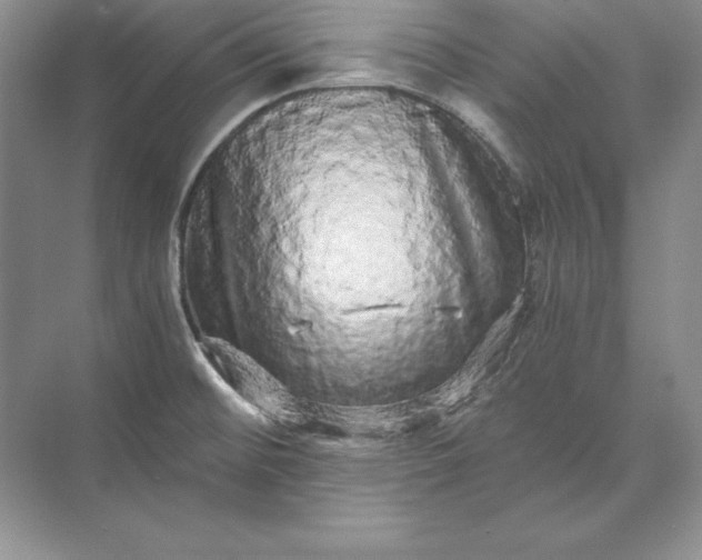 X0000071331476200607071619