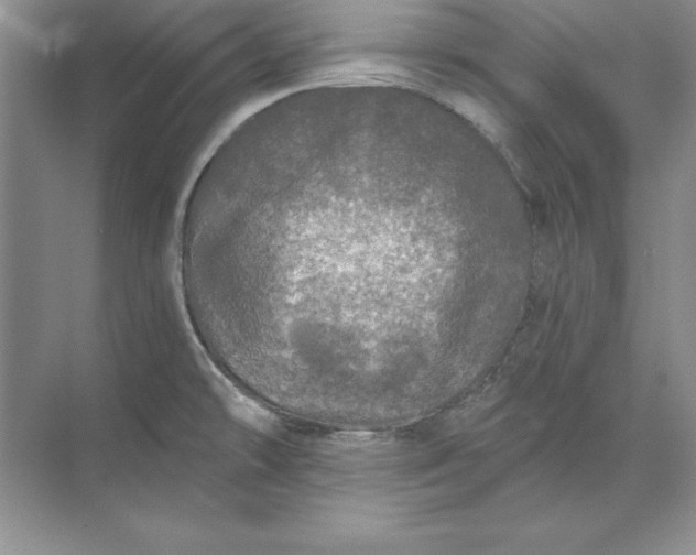 X0000071331478200607071619