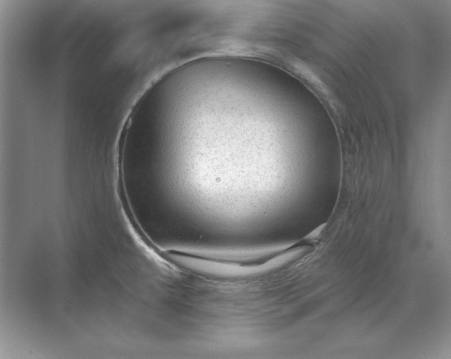 X0000071331479200607071619