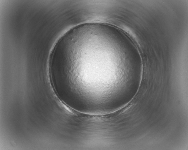 X0000071331480200607071619