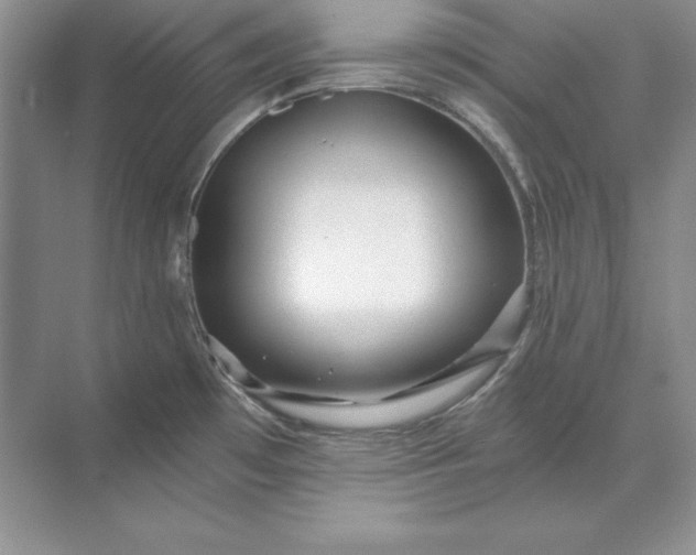 X0000071331481200607071619