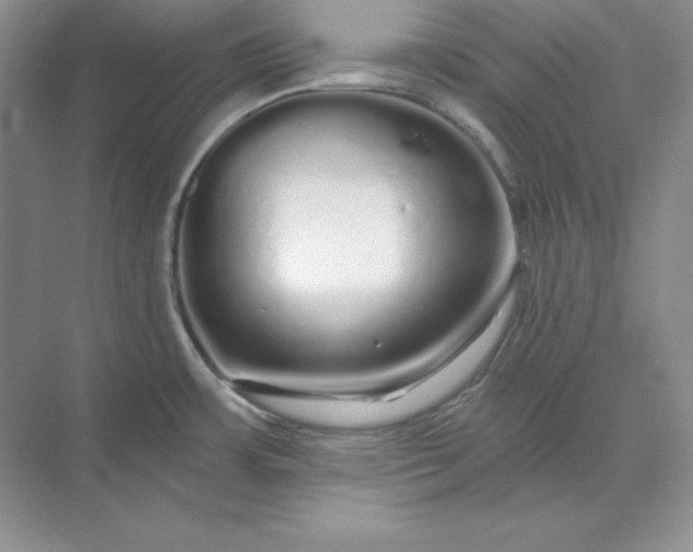 X0000071331483200607071619