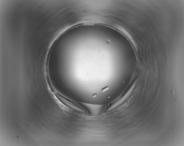 X0000071331485200607071619