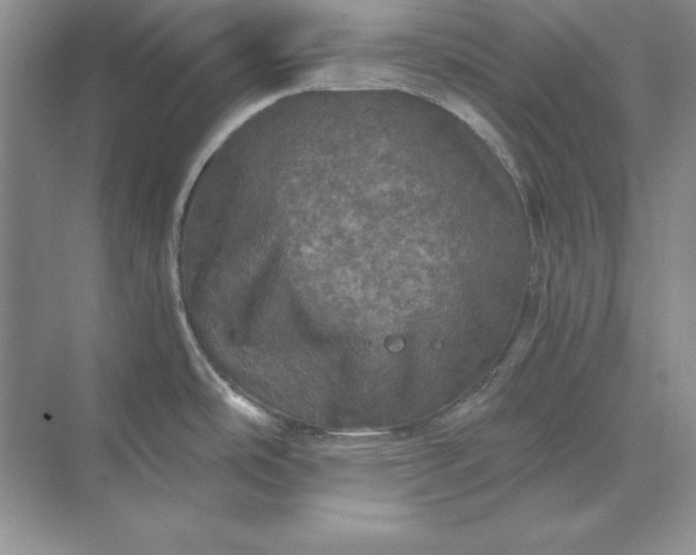 X0000071331486200607071619