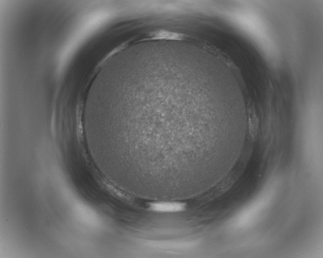 X0000071331487200607071619