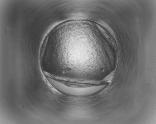 X0000071331488200607071619