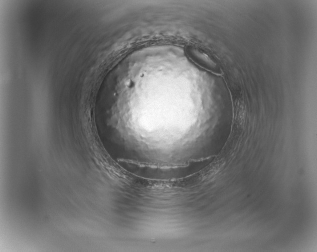 X0000071331489200607071618