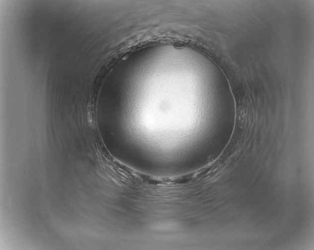 X0000071331490200607071618