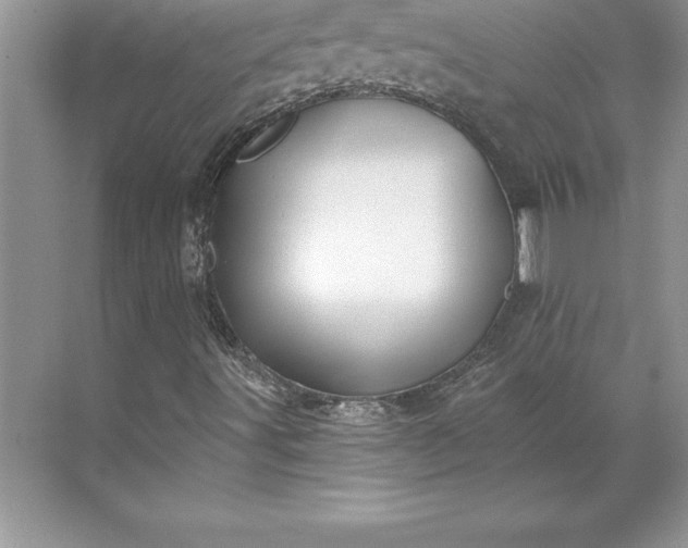 X0000071331491200607071618