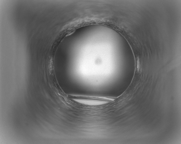 X0000071331492200607071618