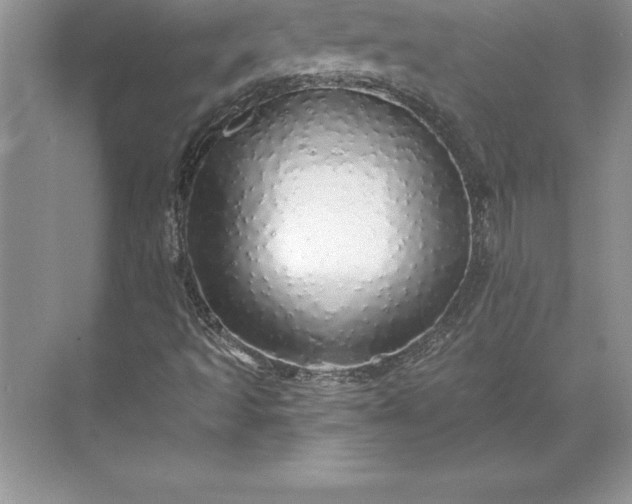 X0000071331493200607071618