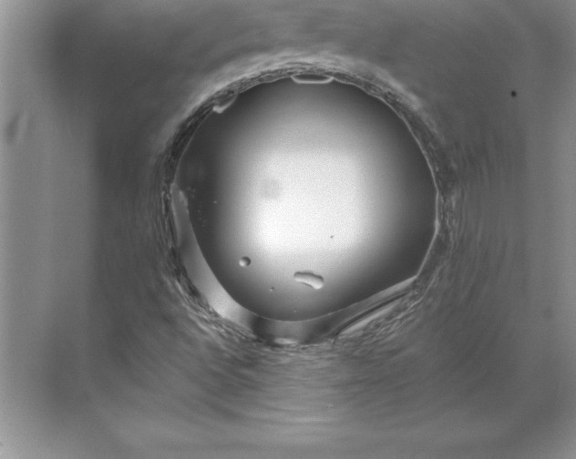 X0000071331496200607071618