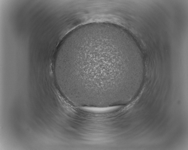 X0000071331497200607071618