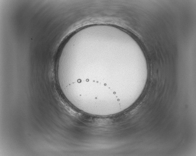 X0000071331498200607071618