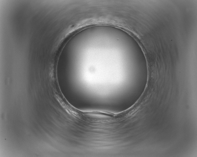 X0000071331499200607071618