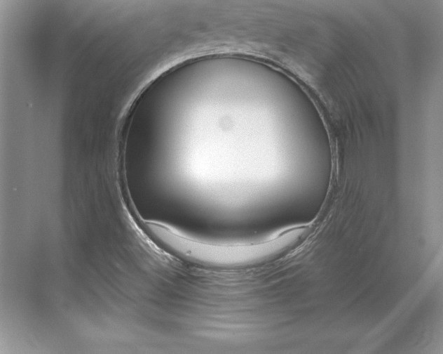 X0000071331500200607071618